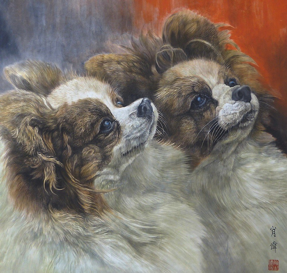 собаки - собаки - оригинал