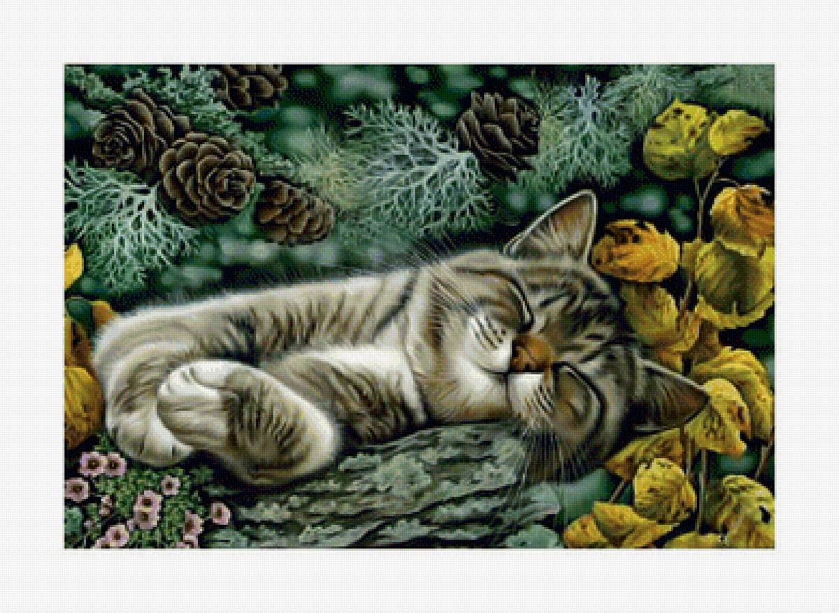 Спящий котик. - кот, ветви, ель, деревья, листва, кошка, шишки. - предпросмотр
