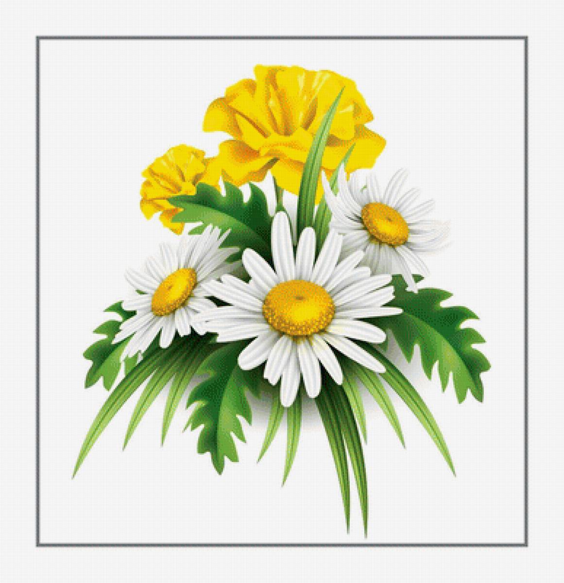 №1956004 - ромашки, цветы, натюрморт - предпросмотр