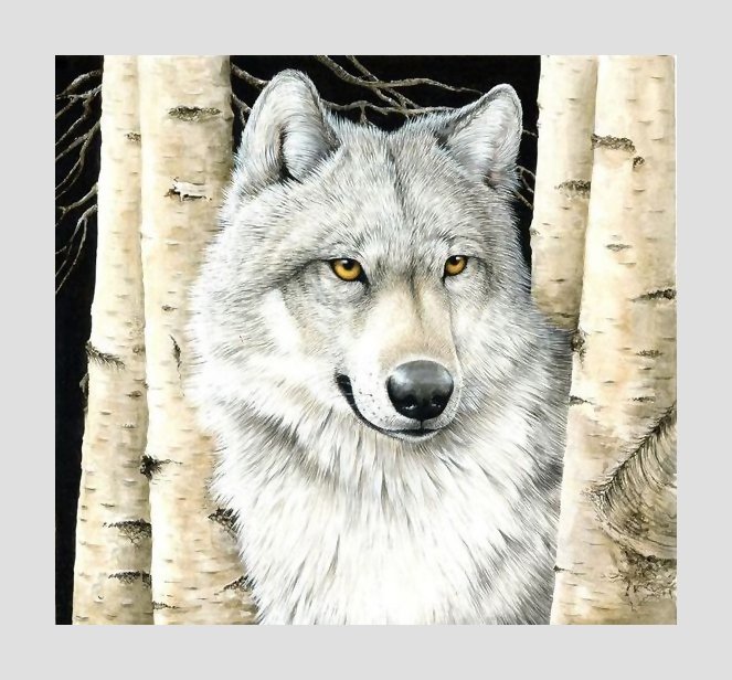 №1956013 - хищники, животные, волки - оригинал