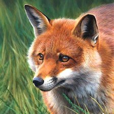 Схема вышивки «лиса»