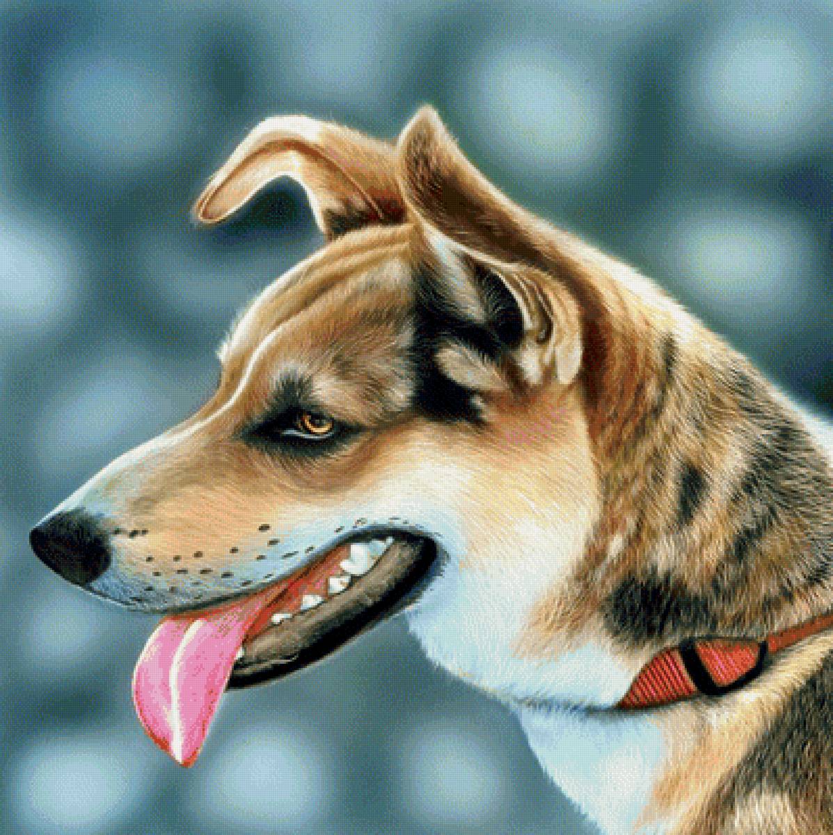 №1956063 - собаки, животные - предпросмотр