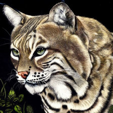 Схема вышивки «№1956064»