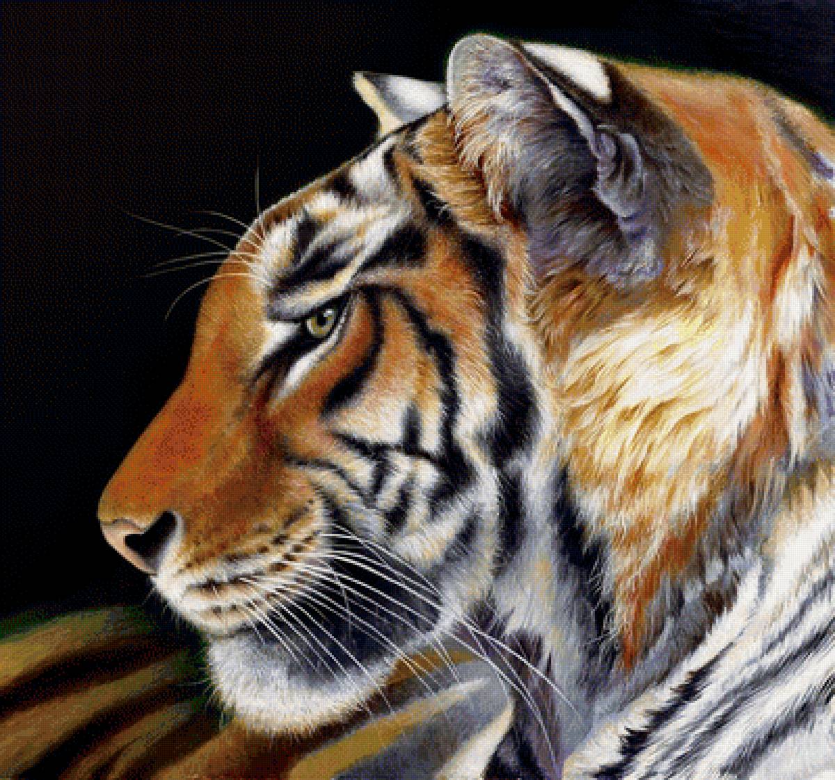 №1956067 - животные, хищники, тигры, тигр - предпросмотр