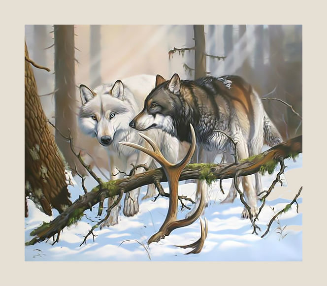 Волки. Пара. - хищники., лес, снег, зима, волки, пейзаж - оригинал