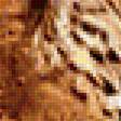 Предпросмотр схемы вышивки «Леопард.» (№1956618)