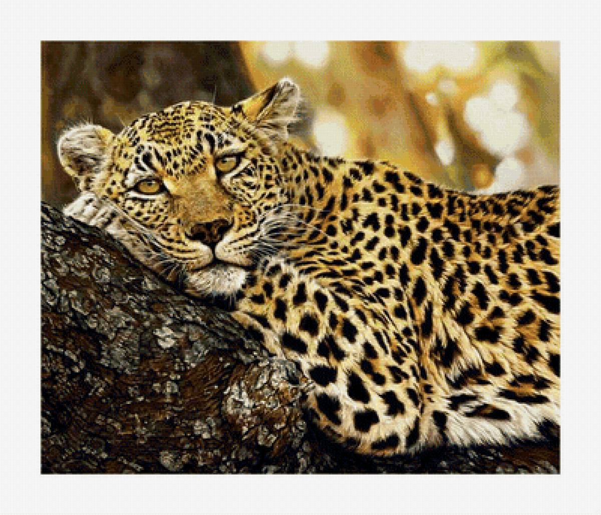 Леопард. - леопард, хищник. - предпросмотр