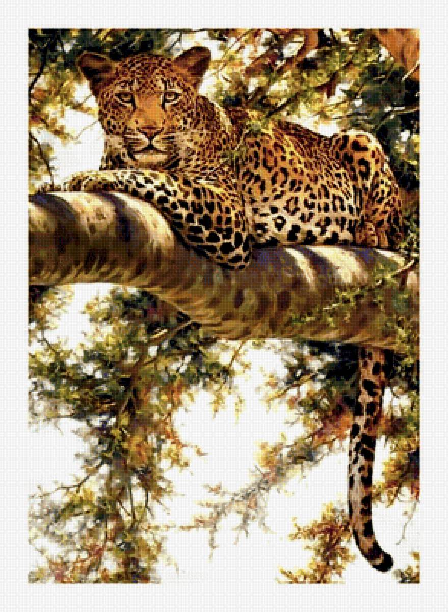 Леопард. - леопард, хищник. - предпросмотр