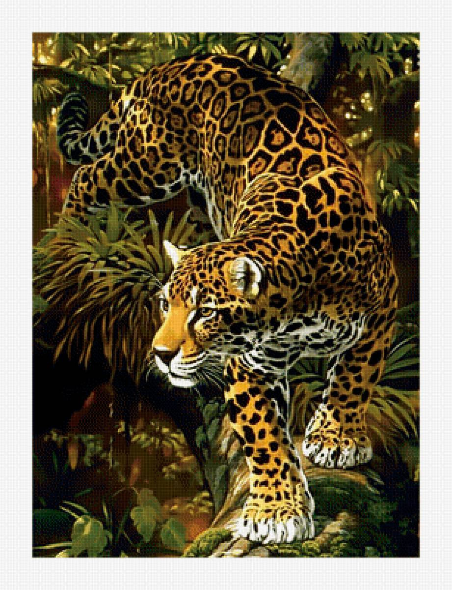 Леопард. - хищник., леопард - предпросмотр