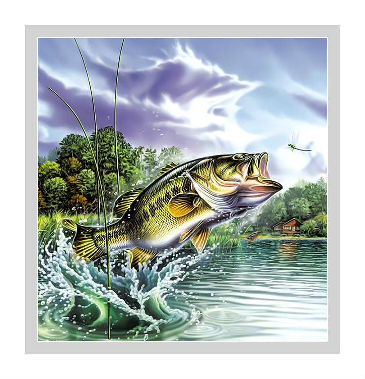 Рыба. - озеро, рыба, пейзаж., рыбалка - оригинал