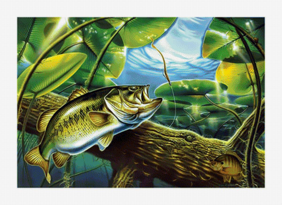 Под водой. - рыбалка, под водой., рыба - предпросмотр