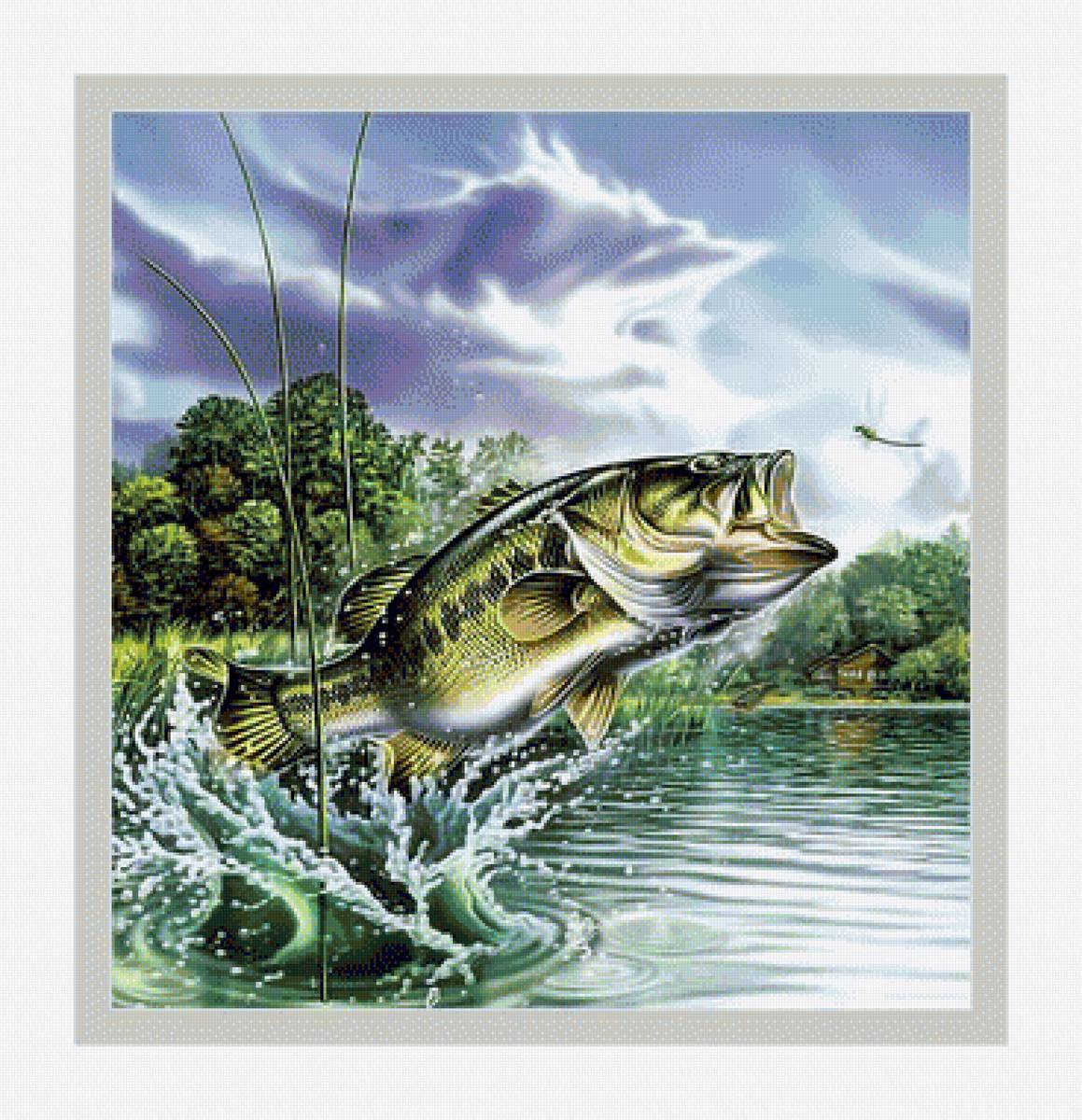 zvejui - vita.s - предпросмотр