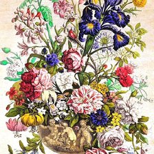Схема вышивки «цветы»