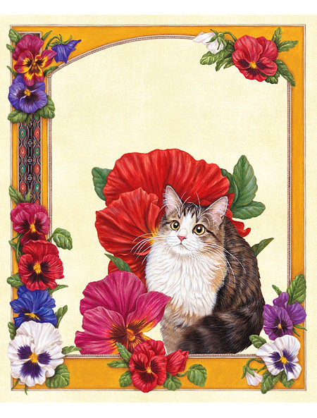 mačka,sirotky - оригинал