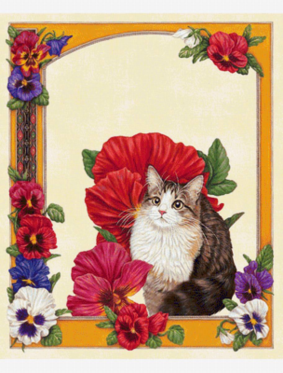 mačka,sirotky - предпросмотр