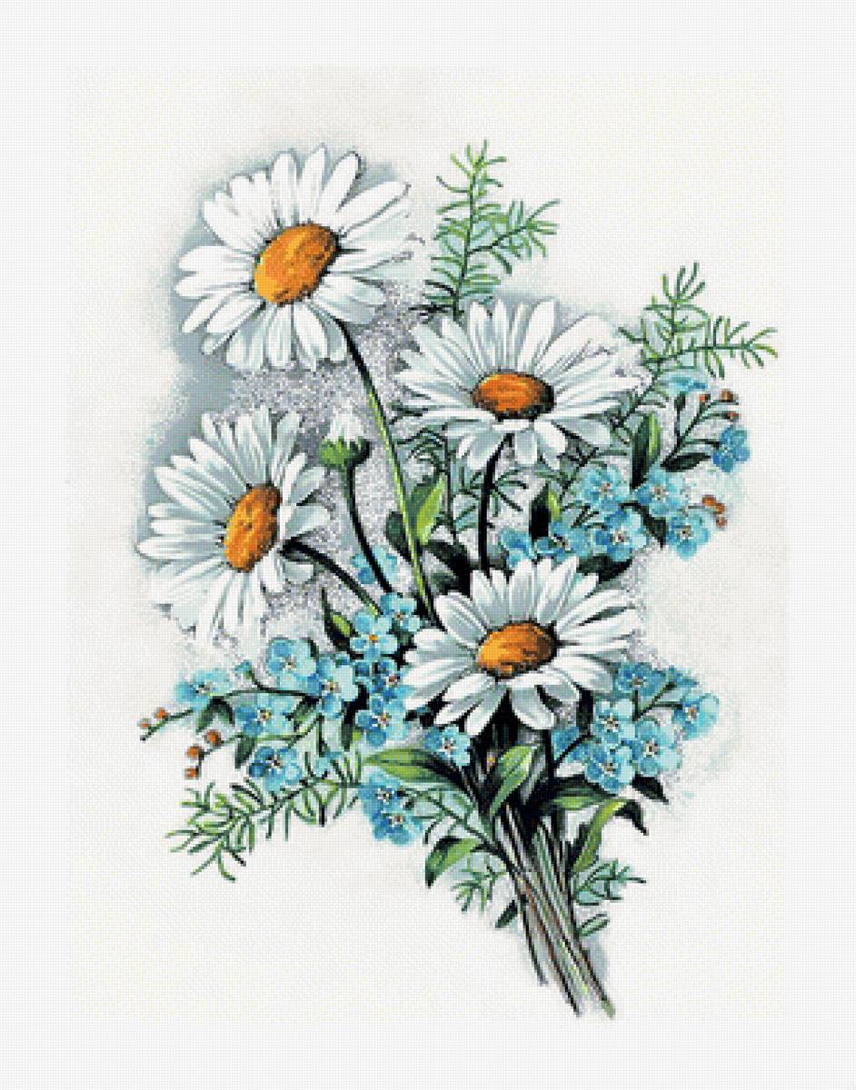Ромашки-незабудки. - незабудки., цветы, ромашки, букет - предпросмотр