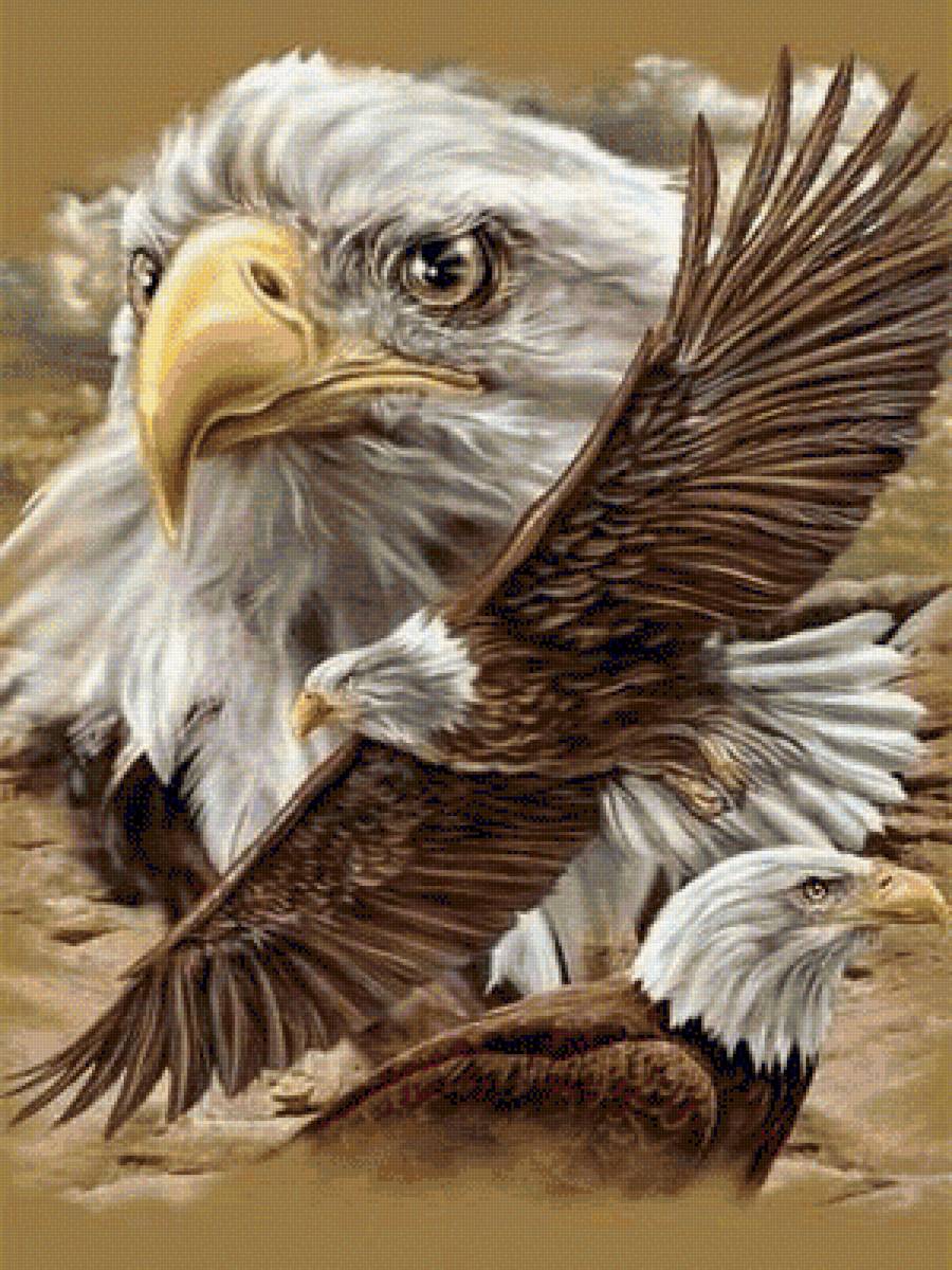 erelis - vita.s - предпросмотр