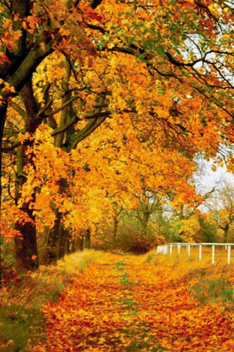 осень - деревья, тропа, парк, осень - предпросмотр