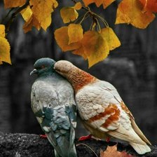 Схема вышивки «птички»