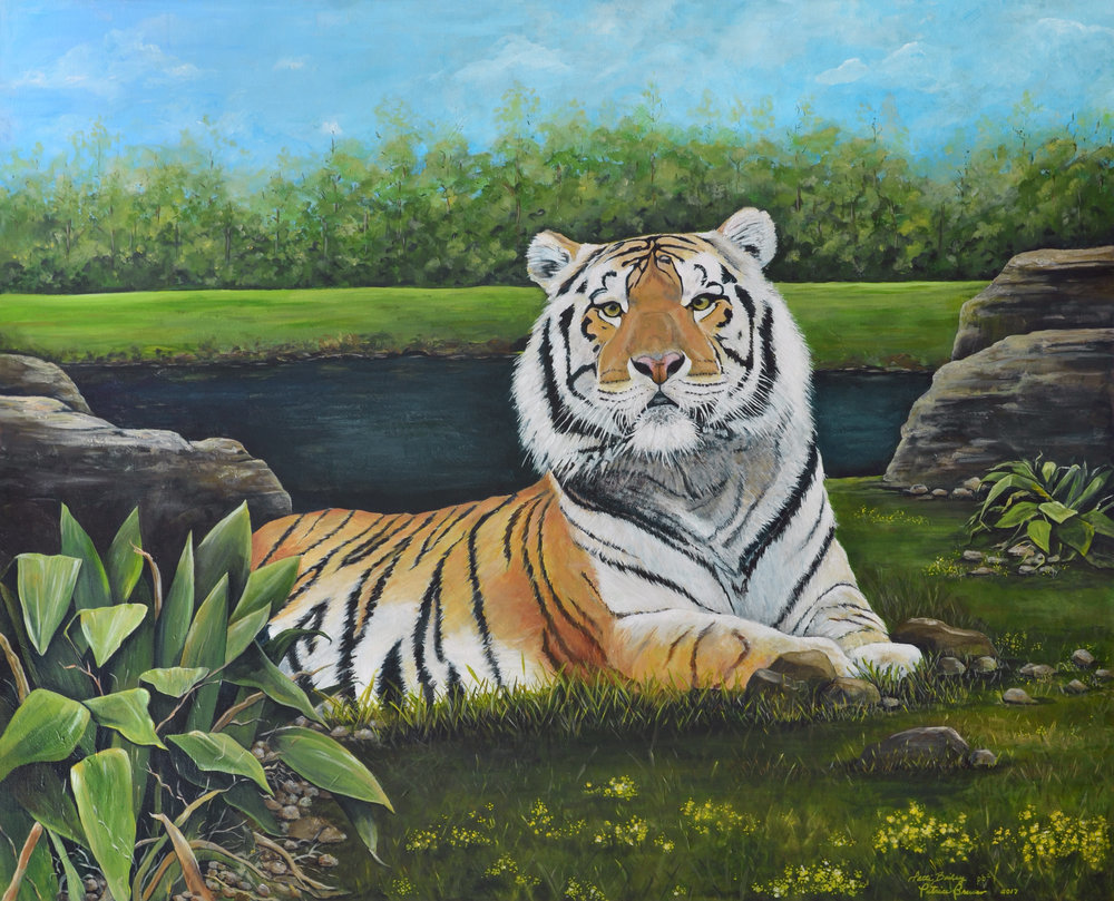 тигр - оригинал