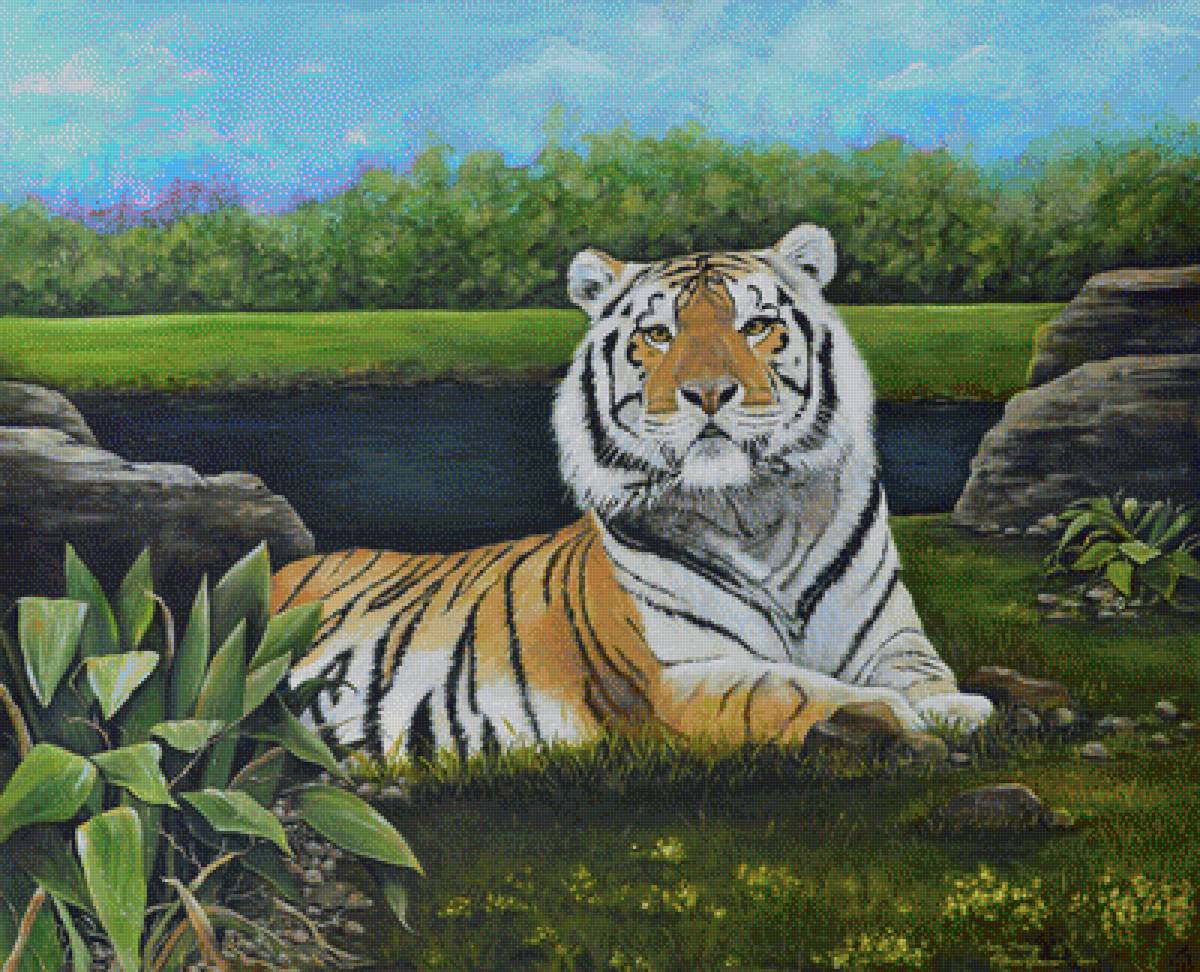 тигр - предпросмотр