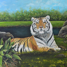 Схема вышивки «тигр»