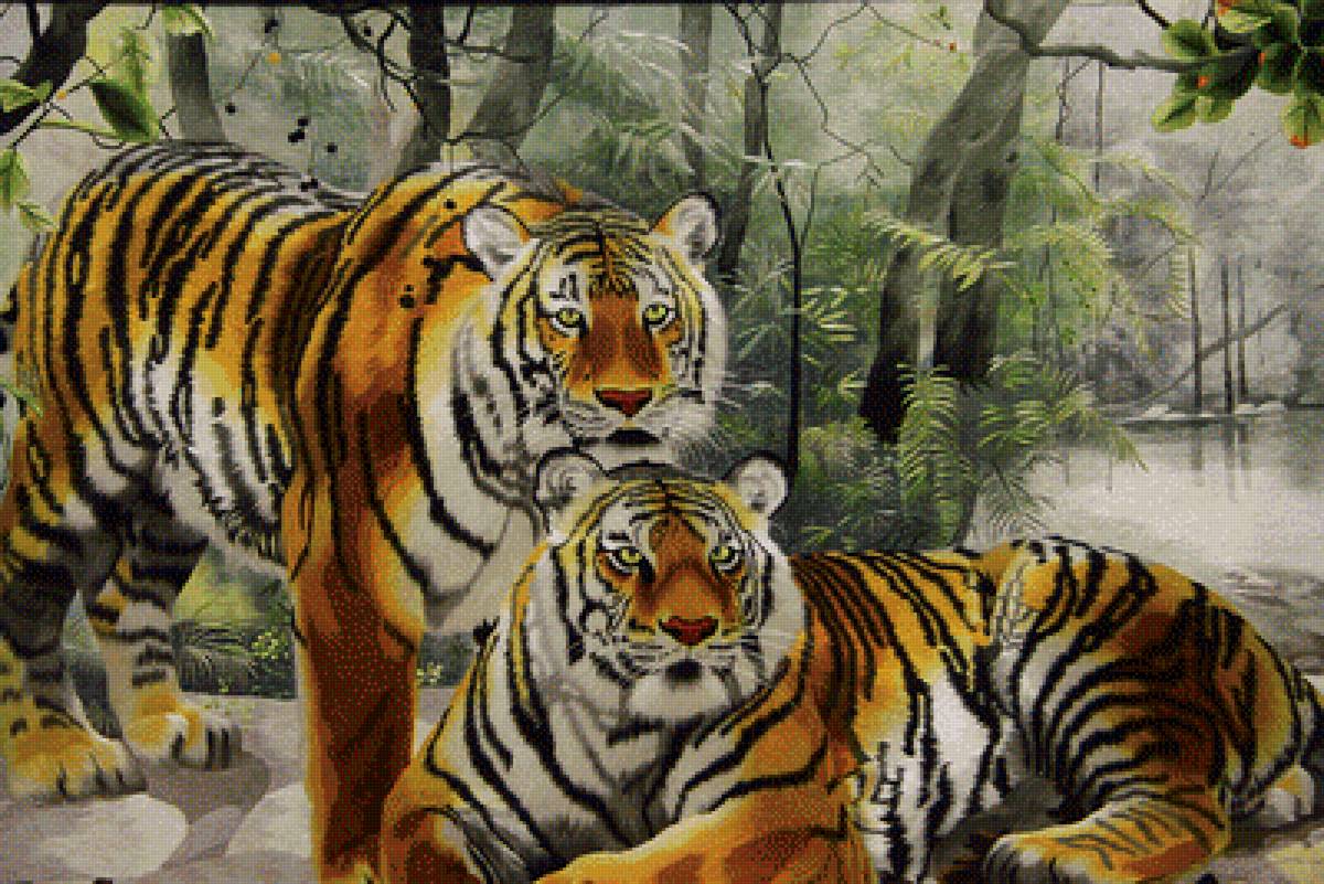 тигры - предпросмотр