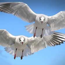 Схема вышивки «№1957319»