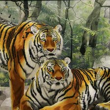 Схема вышивки «tigras»