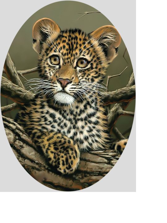 Леопардик. - леопард, дикие, котенок, животные. - оригинал