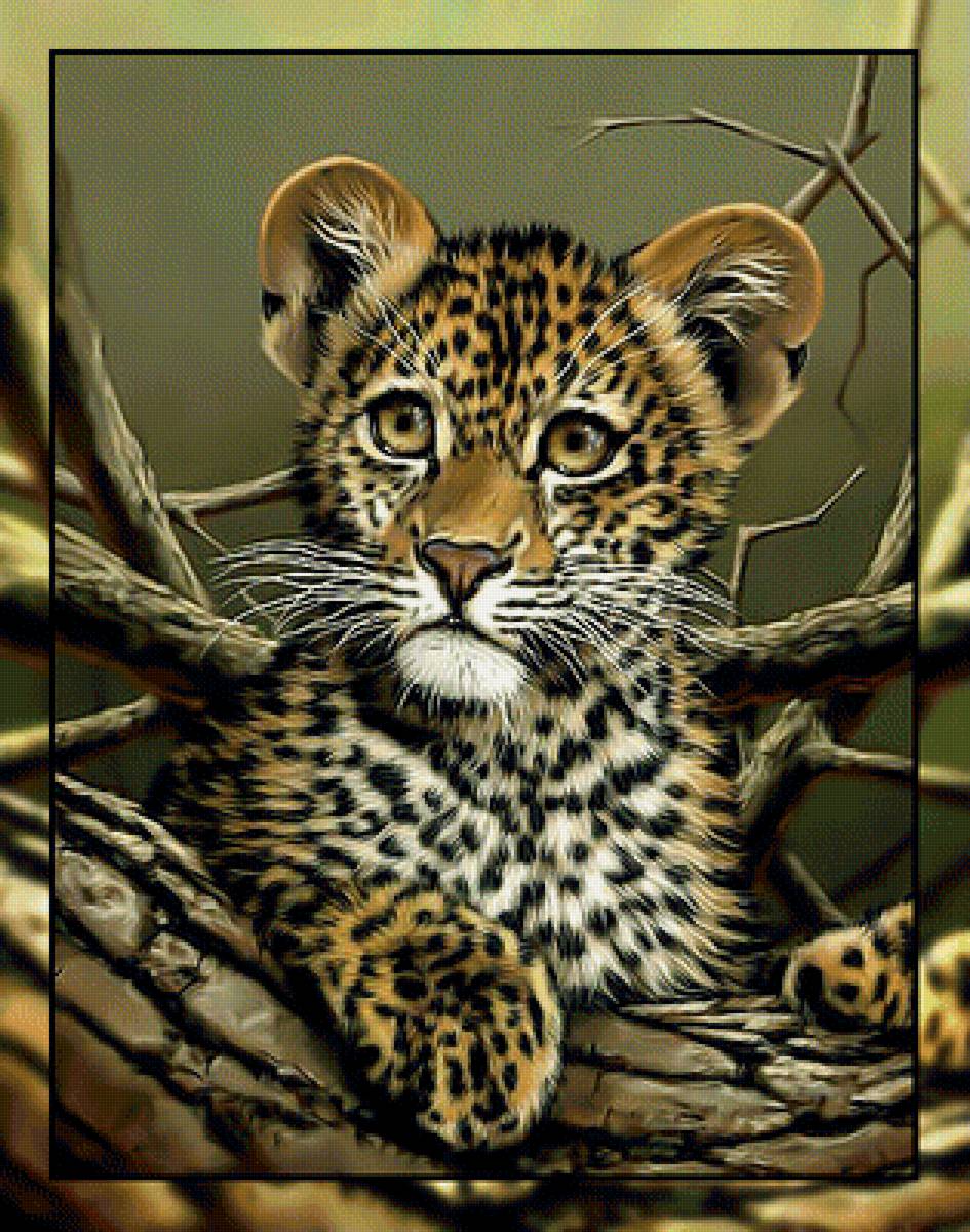 Леопардик2. - котенок, дикие, животные., леопард - предпросмотр