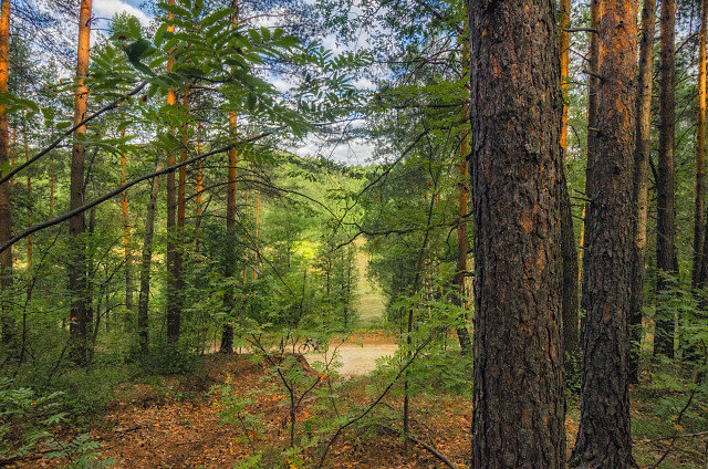 №1957357 - оригинал