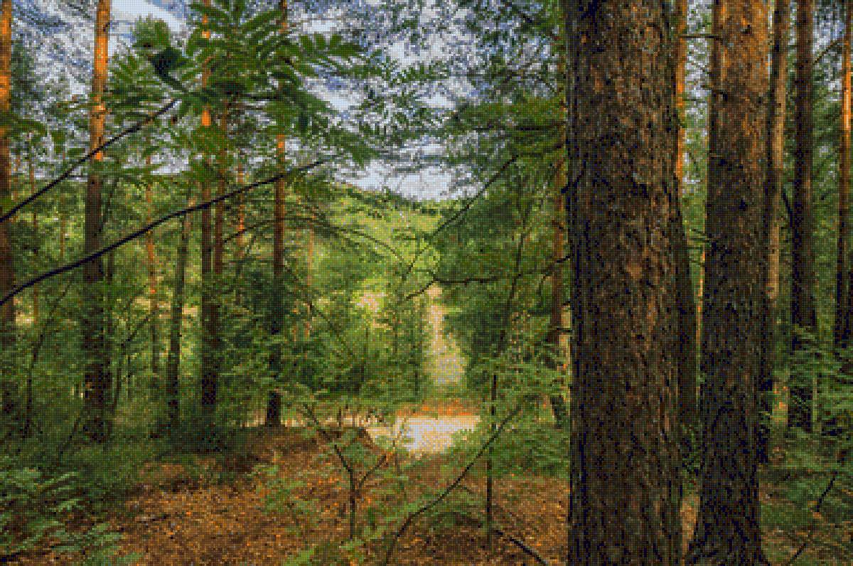 №1957357 - предпросмотр