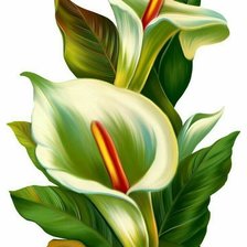 Схема вышивки «цветы»