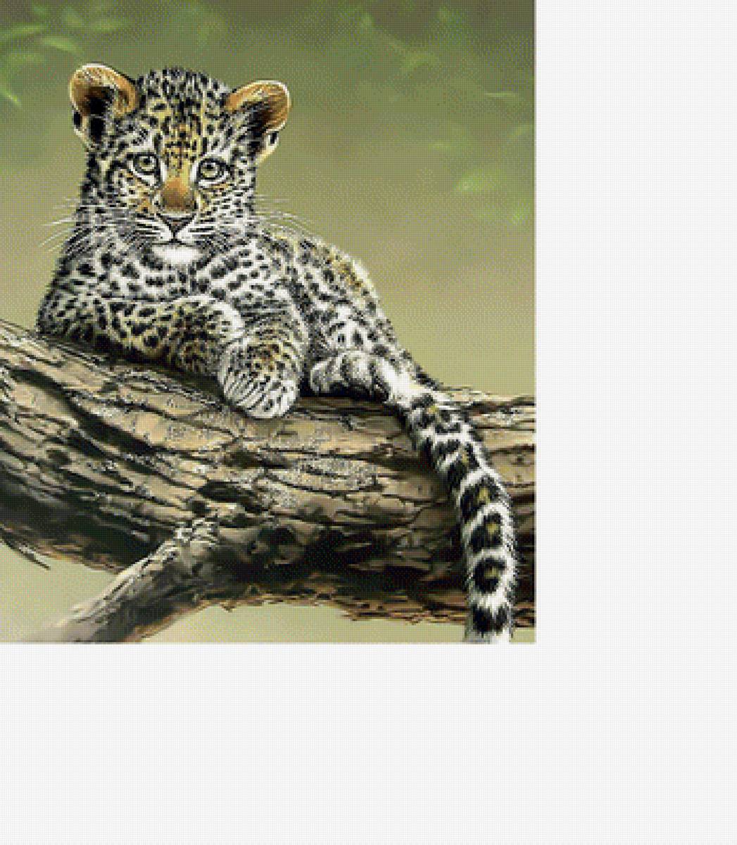 Котёнок леопарда. - леопард, дикие, животные., котенок - предпросмотр