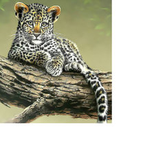 Оригинал схемы вышивки «Котёнок леопарда.» (№1957465)
