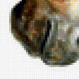 Предпросмотр схемы вышивки «Конь2.» (№1957479)