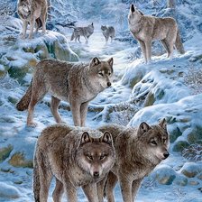 Схема вышивки «Волки»