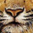 Предпросмотр схемы вышивки «Тигр.» (№1957654)