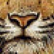 Предпросмотр схемы вышивки «tigras» (№1957667)