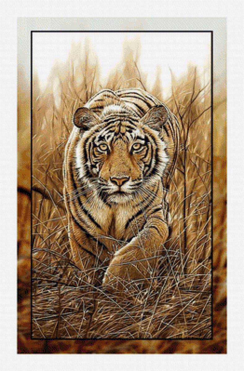 tigras - vita.s - предпросмотр