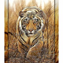 Схема вышивки «tigras»