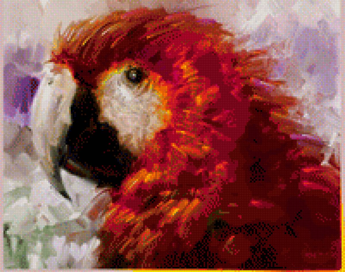 попугай - животные - предпросмотр