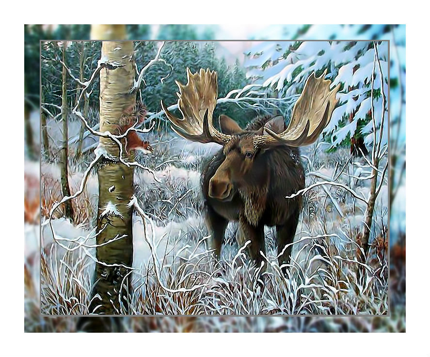 Лось в зимнем лесу. - лось., лес, белка, пейзаж, снег, зима - оригинал