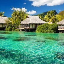 Схема вышивки «Екзотика»