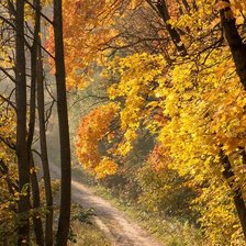 Схема вышивки «ПЕЙЗАЖ»