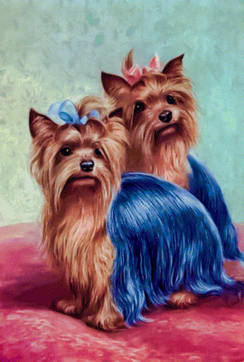 Vintage Yorkies. - animals. - предпросмотр