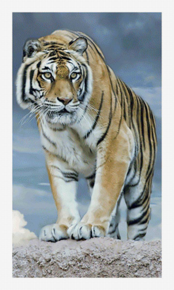 Тигруля. - снег., зима, хищник, тигр - предпросмотр