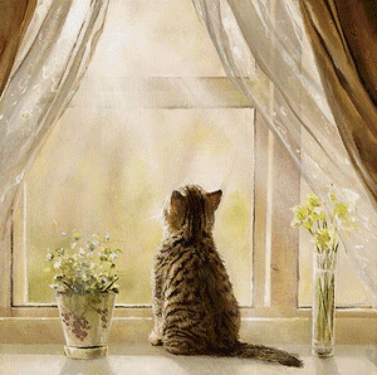 котенок - солнце, кот - предпросмотр