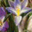 Предпросмотр схемы вышивки «цветы» (№1958042)